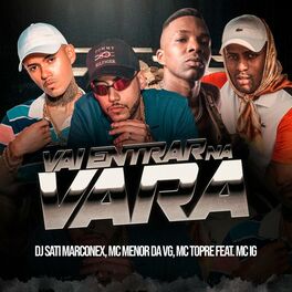 Album cover of Vai Entrar na Vara