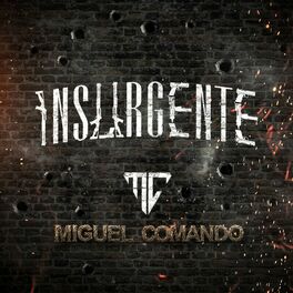 Album cover of INSURGENTE
