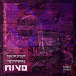Album cover of Nivo
