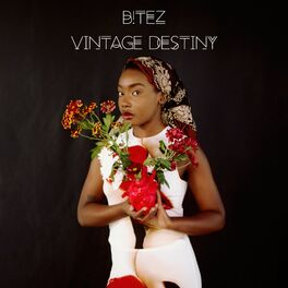Album cover of Vintage Destiny