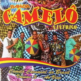 Album cover of Camelô Elétrico Carnaval do Brasil, Vol. 3 (Ao Vivo)