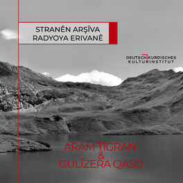 Album cover of Stranên Arşîva Radyoya Erîvanê-5