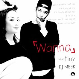 Album cover of Wanna (feat. tiny)