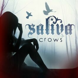 Album cover of Crows