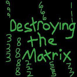 Album cover of Destroying the Matrix