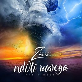Album cover of Ndiri Mweya