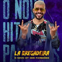 Album cover of O Novo Hit dos Paredões