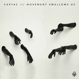 Album cover of Movement Swallows Us