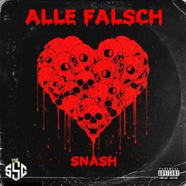 Album cover of Alle Falsch
