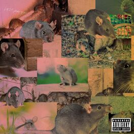 Album cover of 10 Thousand Rats