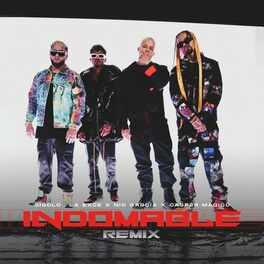 Album cover of Indomable (Remix)