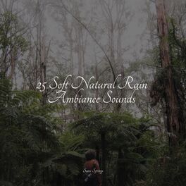 Album cover of 25 Soft Natural Rain Ambiance Sounds
