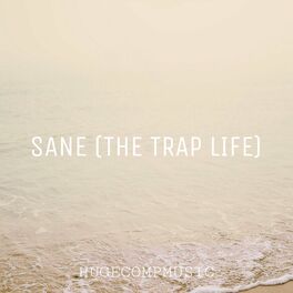 Album cover of SANE (THE TRAP LIFE)