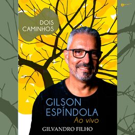 Album cover of Gilvandro Filho (Ao Vivo)