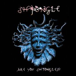Album cover of Are You Shpongled? (2017 Remaster)