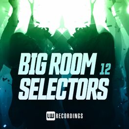 Album cover of Big Room Selectors, 12