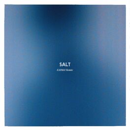 Album cover of Salt (EMBRZ Remix)