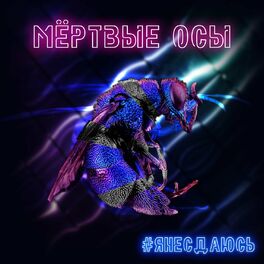 Album cover of #янесдаюсь