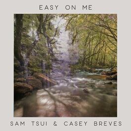 Album cover of Easy On Me (Piano Acoustic)