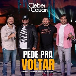 Album cover of Pede Pra Voltar
