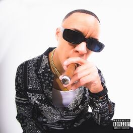 Album cover of VIIBZ