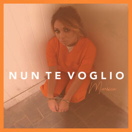 Album cover of Nun te voglio