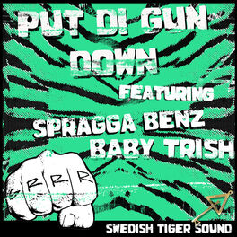 Album cover of Put Di Gun Down
