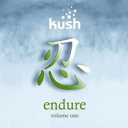 Album cover of Endure, Vol. 1