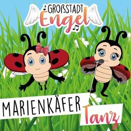 Album cover of Marienkäfer Tanz