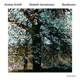 Album cover of Ludwig van Beethoven: Diabelli-Variationen