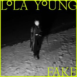 Album cover of FAKE