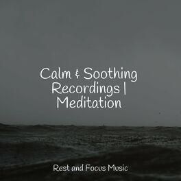 Album cover of Calm & Soothing Recordings | Meditation