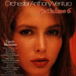 Album cover of Je T'Aime - Traummelodien 6 (Neue Version)