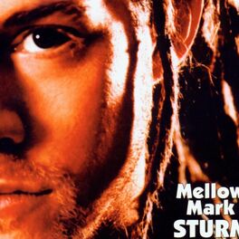Album cover of Sturm