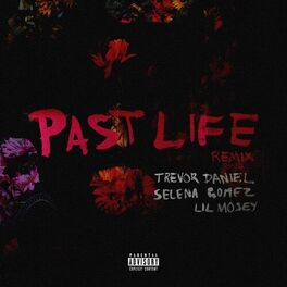 Album cover of Past Life (Remix)