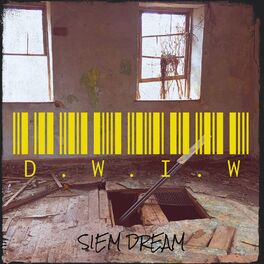 Album cover of D.W.I.W