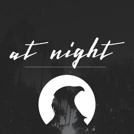 Album cover of At Night