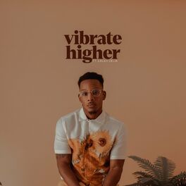 Album cover of Vibrate Higher