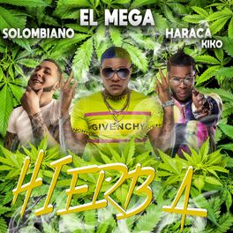 Album cover of Hierba (feat. Haraca Kiko & El Mega)