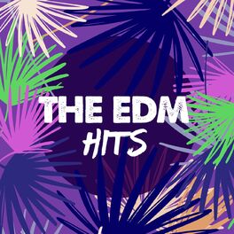 Album cover of The EDM Hits