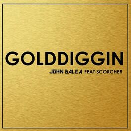 Album cover of Golddiggin