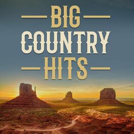 Album cover of Big Country Hits