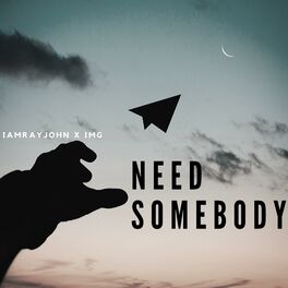 Album cover of Need Somebody (feat. IMG)