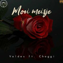 Album cover of Mooi Meisje