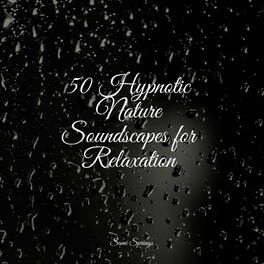 Album cover of 50 Hypnotic Nature Soundscapes for Relaxation