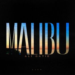 Album cover of Malibu