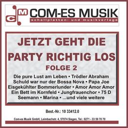 Album cover of Jetzt geht die Party richtig los, Folge 2