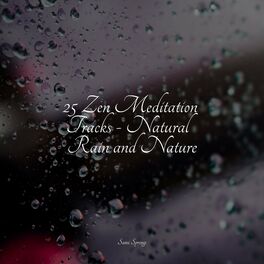 Album cover of 25 Zen Meditation Tracks - Natural Rain and Nature