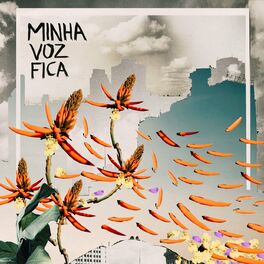 Album cover of Minha Voz Fica