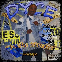 Album cover of In the Streetz Mixtape Vol.5